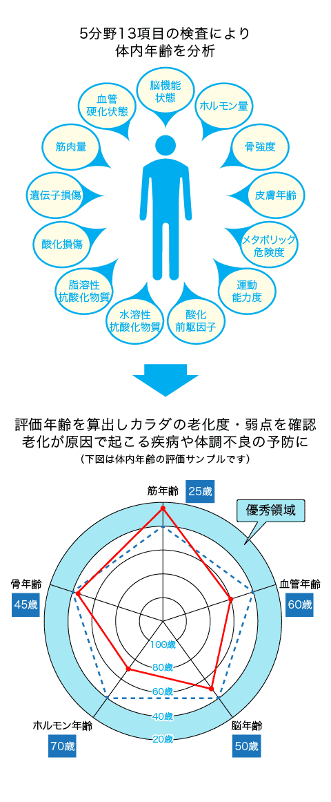 ストレス と は 酸化