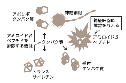 Mciスクリーニング検査 広尾ストレスクリニック